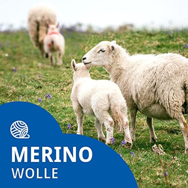 ACUSHLA Calda coperta di lana colorata – Coperta in lana merino grigio (145 x 200 cm) coperta per divano/plaid divano in lana vergine Blanket